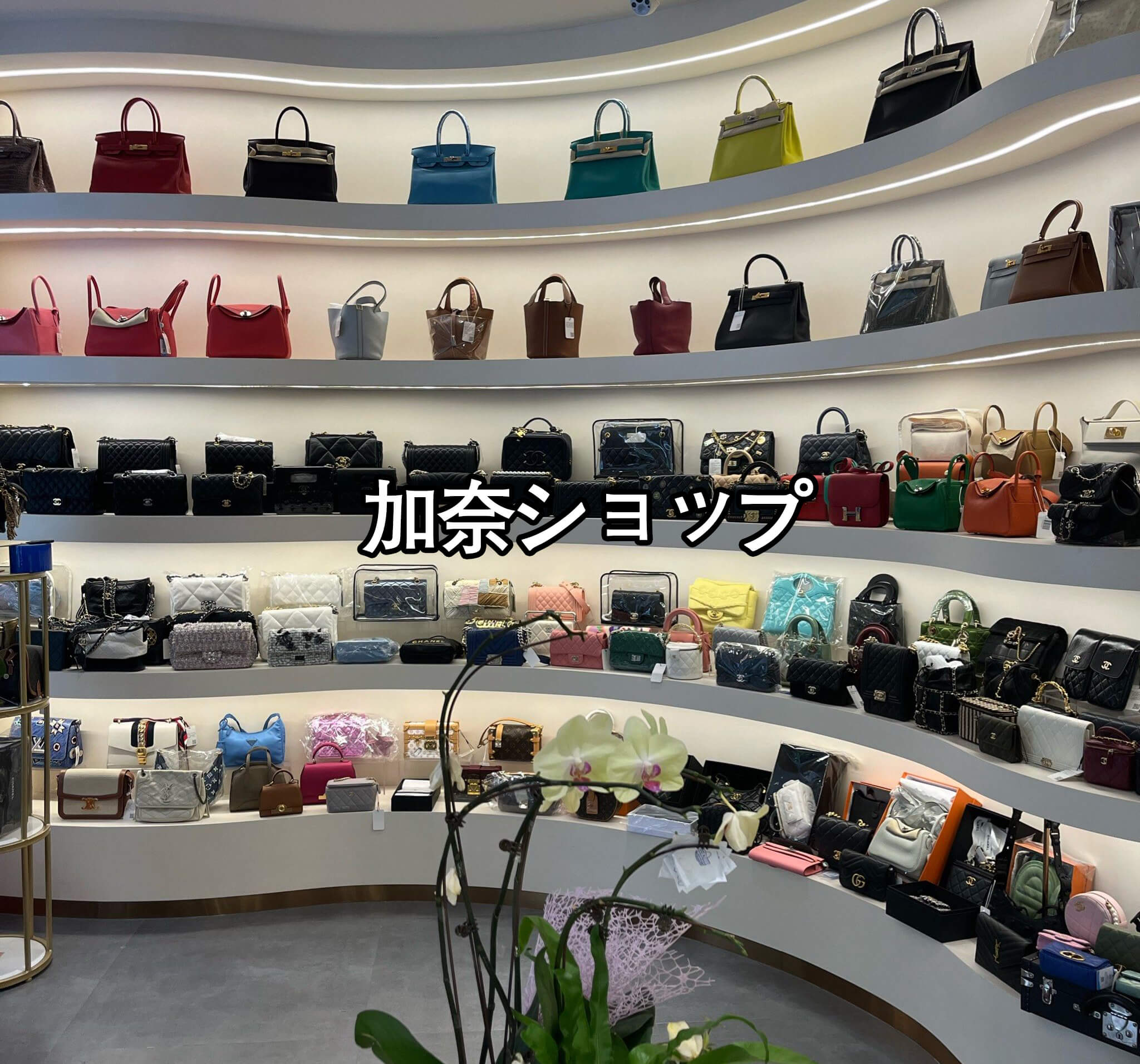 加奈ショップ 怪しい? - 加奈ショップ