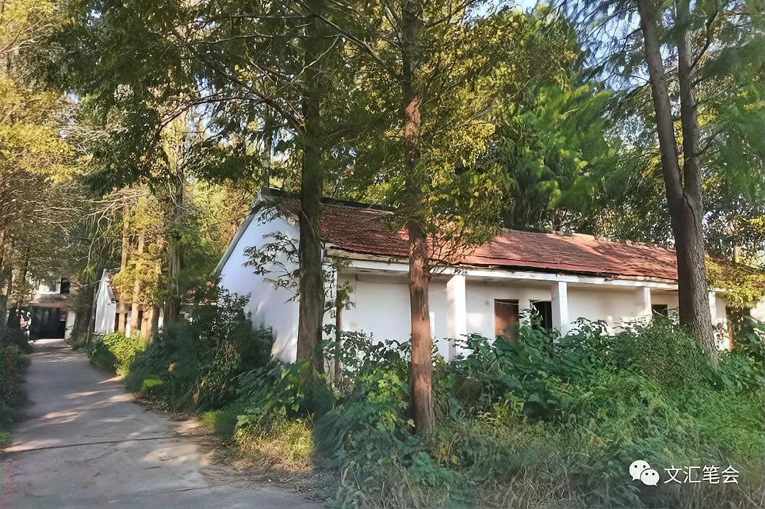 キャンパスの北側ではアカザが蔓延している | 馮元