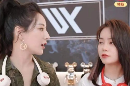 ヴィヤが共同ブランドのファンを販売するライブ配信は「偽造品」を販売しているという非難を巻き起こし、ヴィヤは謝罪した。