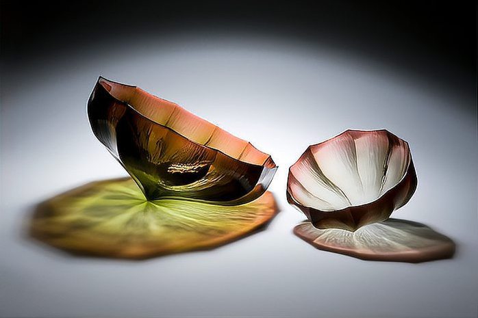 2018年ロエベ クラフツマンシップ アワードの受賞者が発表されました。主催者は「今ほどクラフツマンシップに焦点を絞るには絶好の時期です…」と述べています。